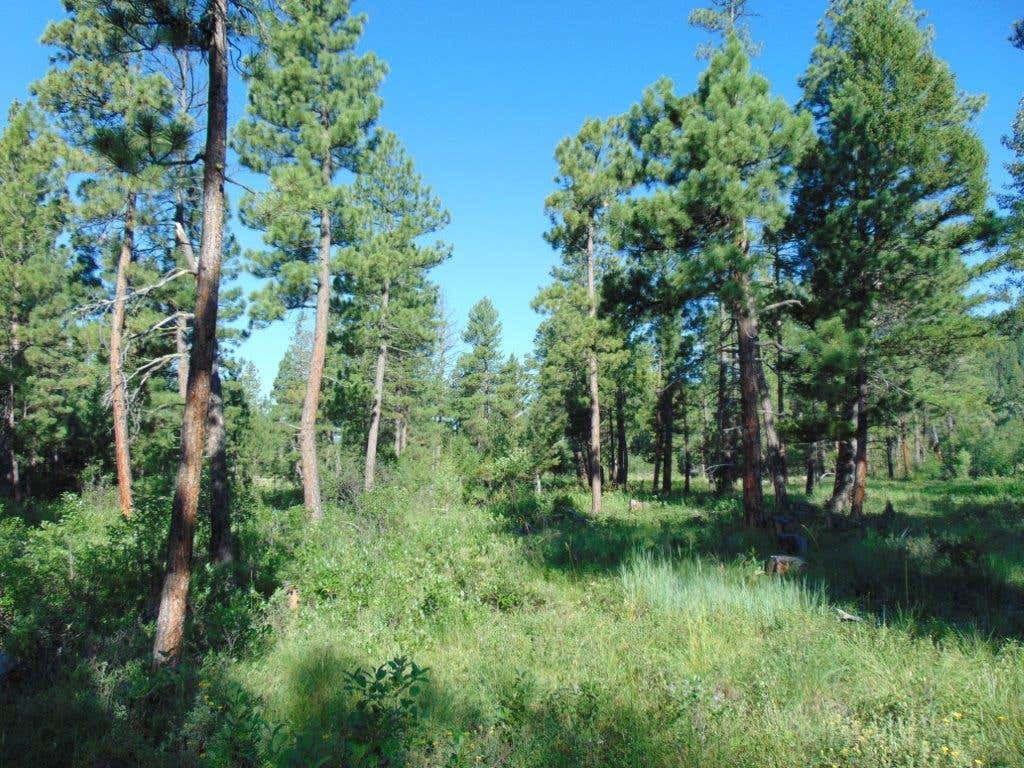 Photo of 4615 Abe Lincoln Road, Lincoln, MT 59639 (MLS # 30074886)