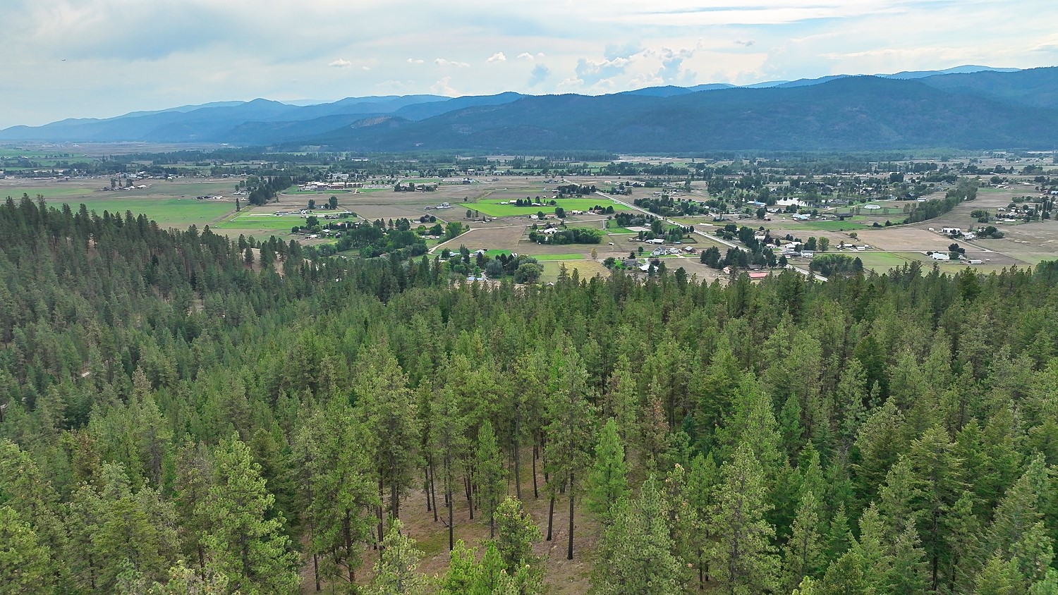 Nhn Roman Creek Road