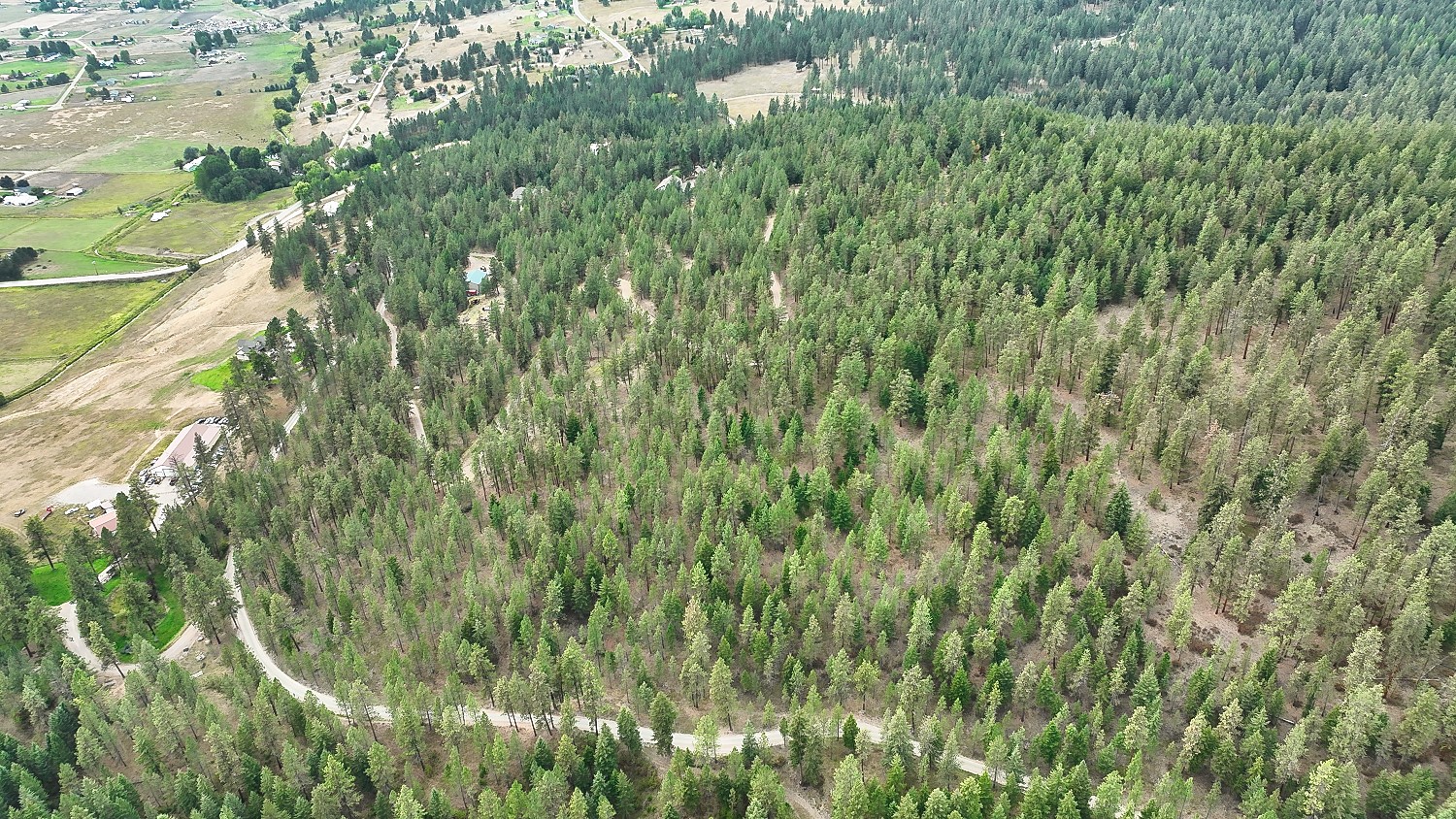 Nhn Roman Creek Road