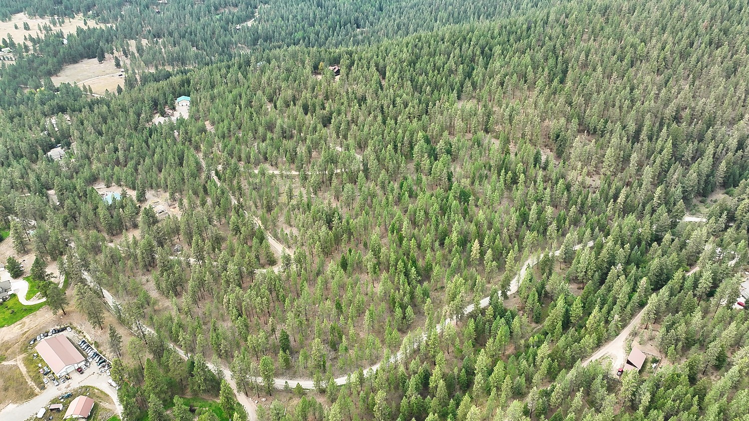 Nhn Roman Creek Road