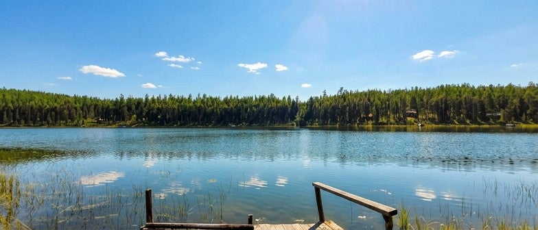 2424 Pierce Lake Road