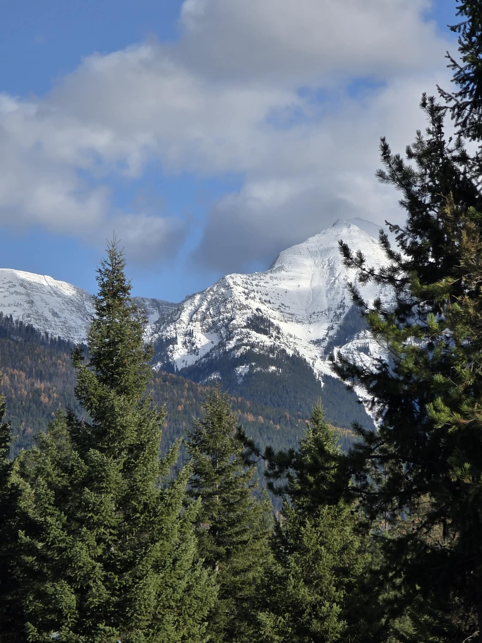 NHN NHN Hollopeter Road