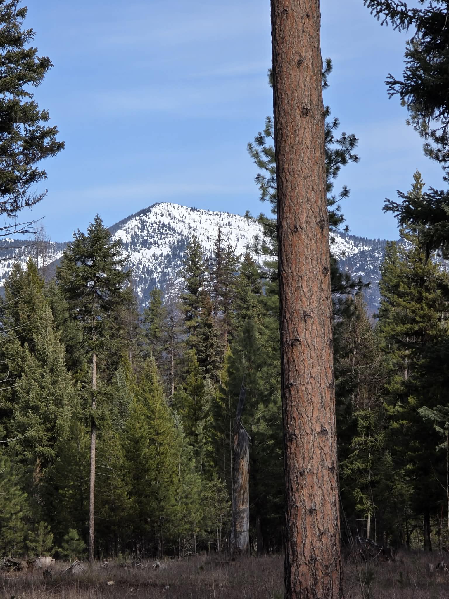 NHN NHN Hollopeter Road