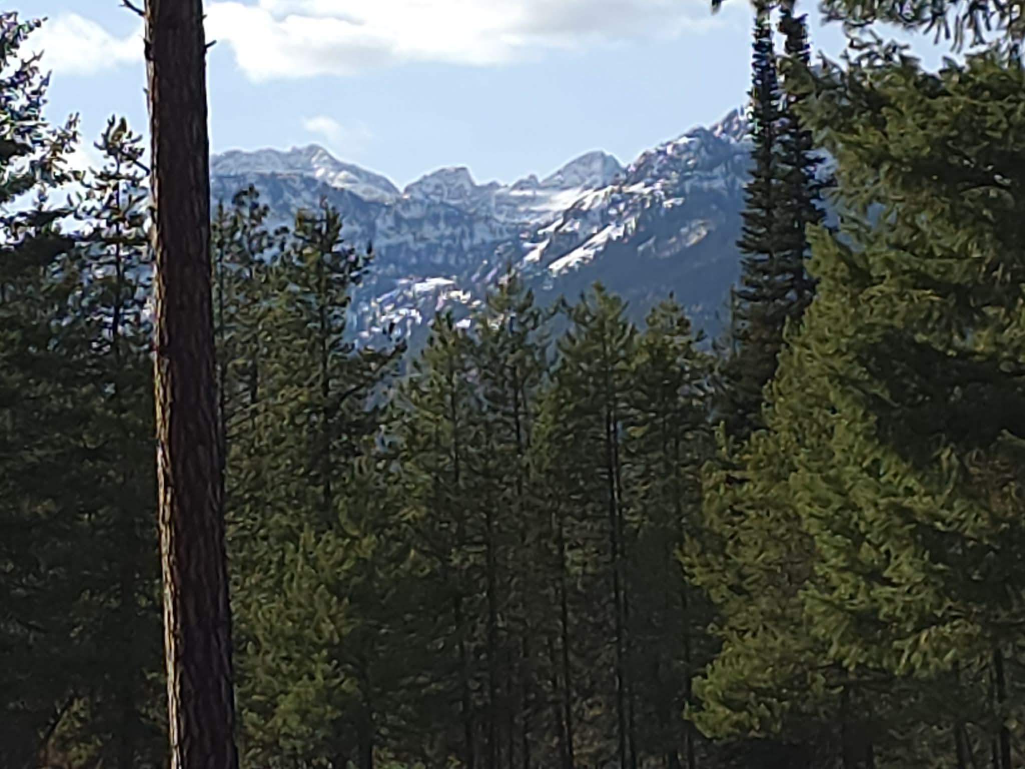 NHN NHN Hollopeter Road