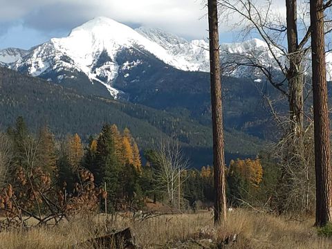 NHN NHN Hollopeter Road Condon MT 59826