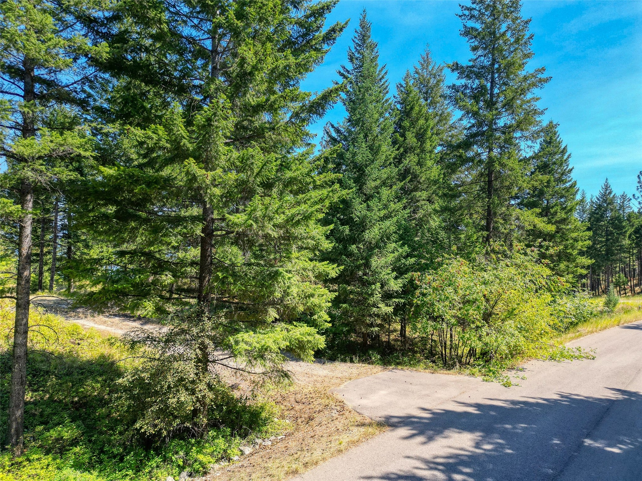 535 Bear Mountain Road