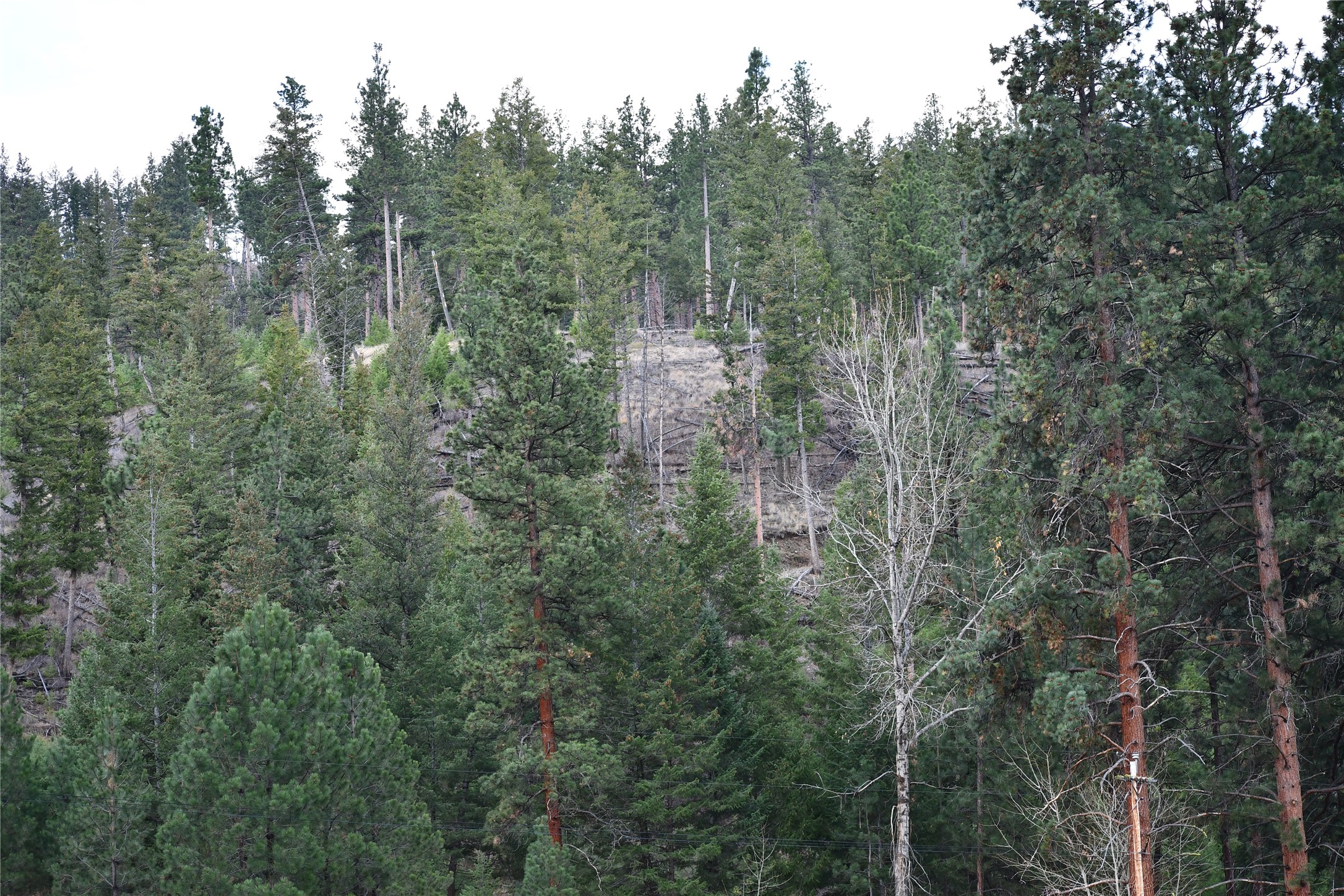 Nhn Medicine Springs Road