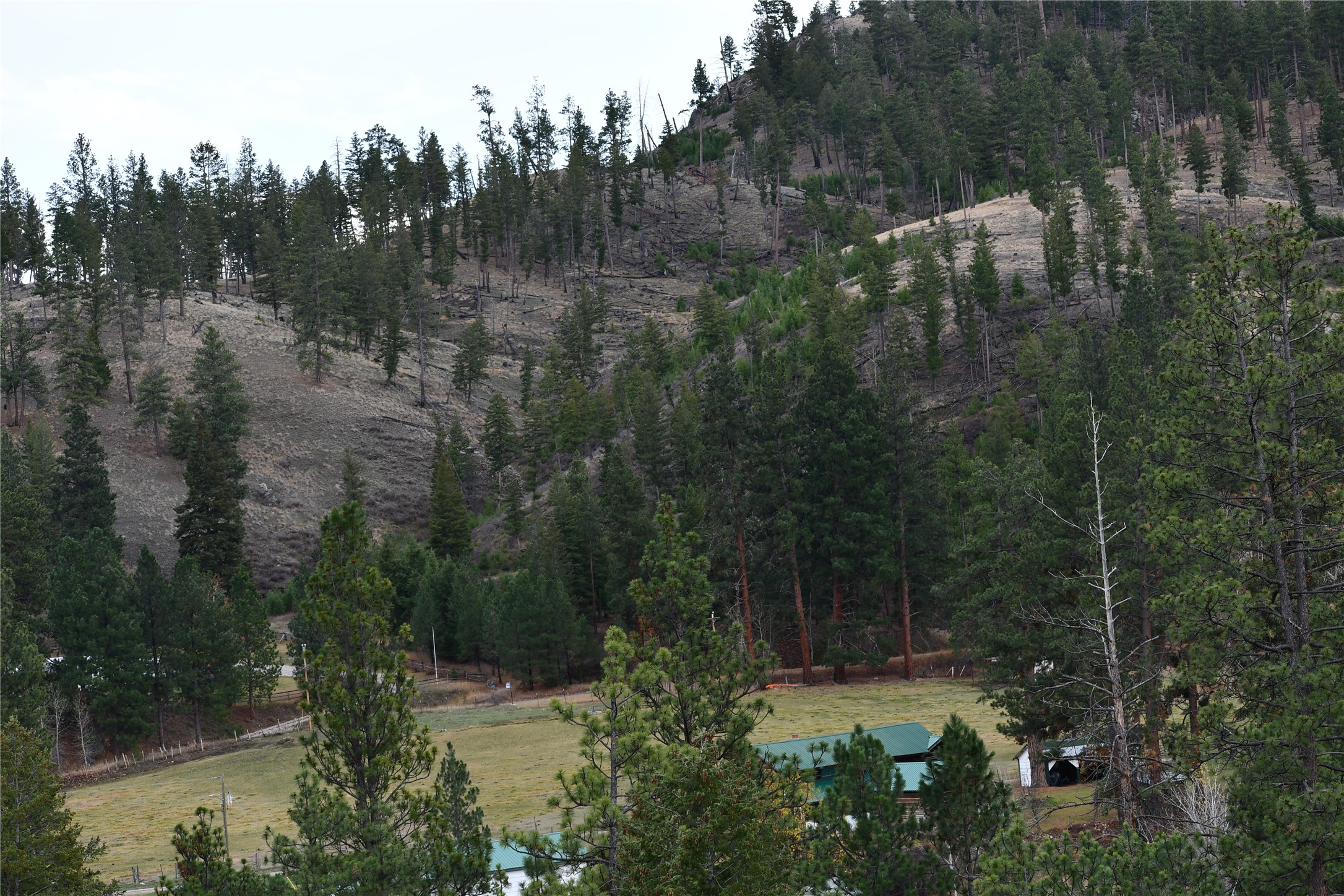 Nhn Medicine Springs Road