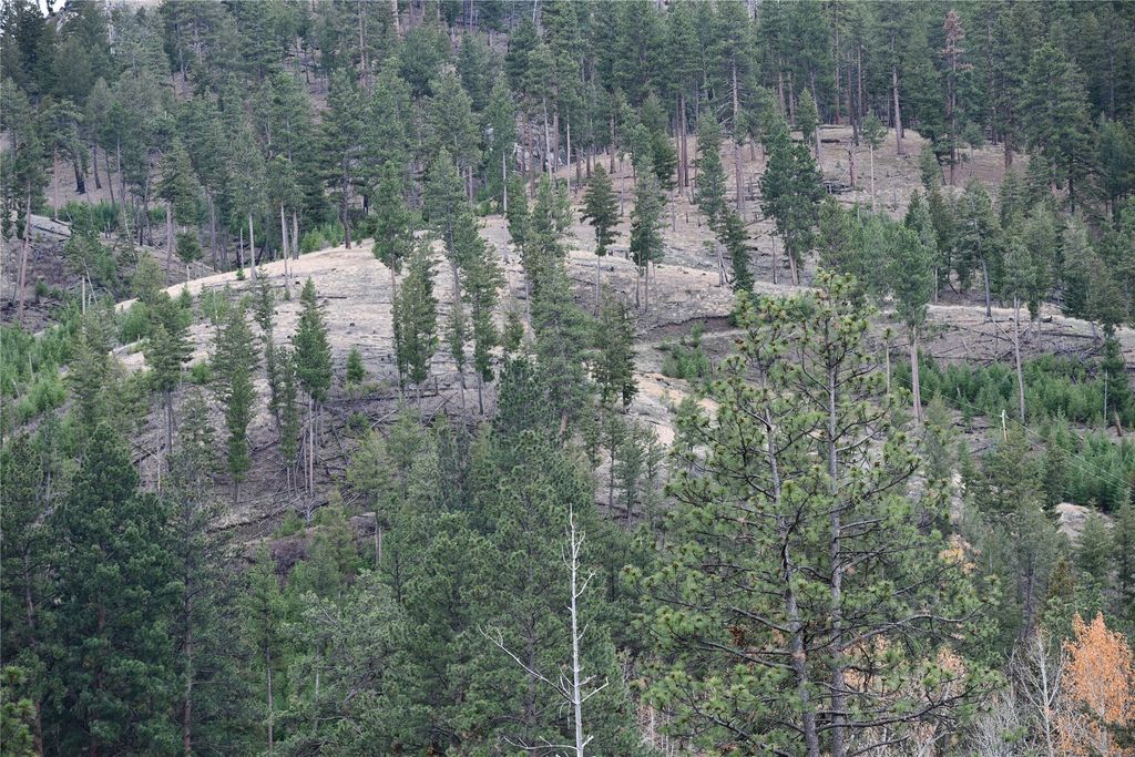 Photo of Nhn Medicine Springs Road, Conner, MT 59827 (MLS # 30060635)