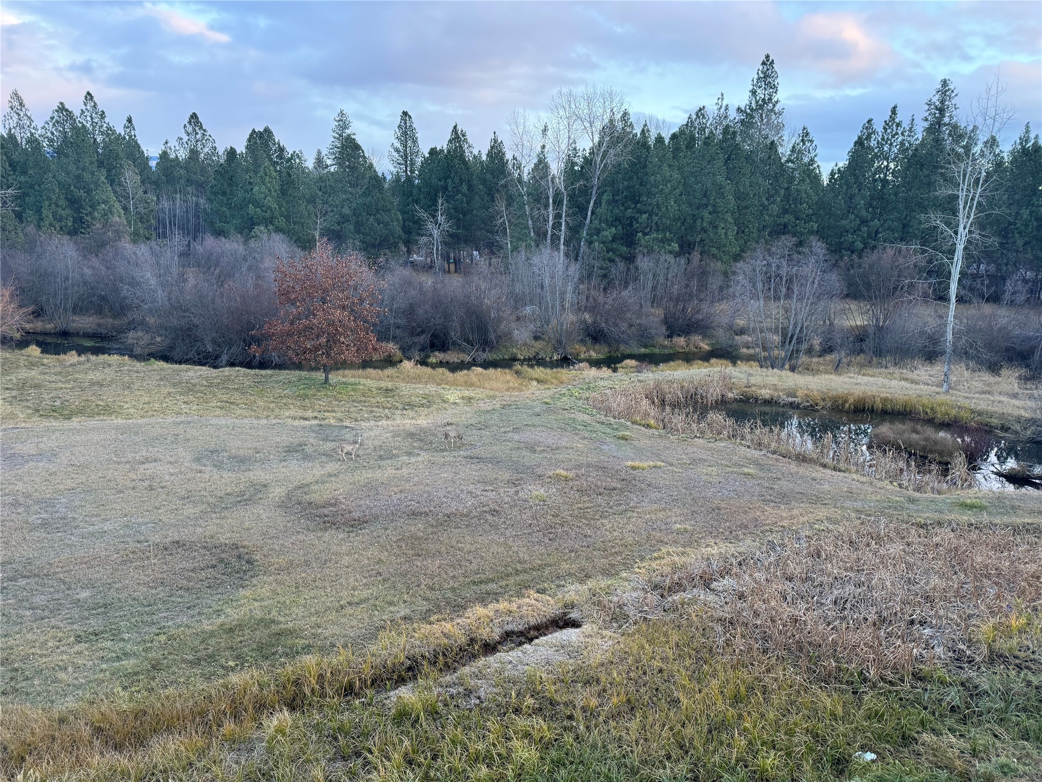Stevensville, Montana 59870, United States, 3 Bedrooms Bedrooms, ,3 BathroomsBathrooms,Residential,Active,31920