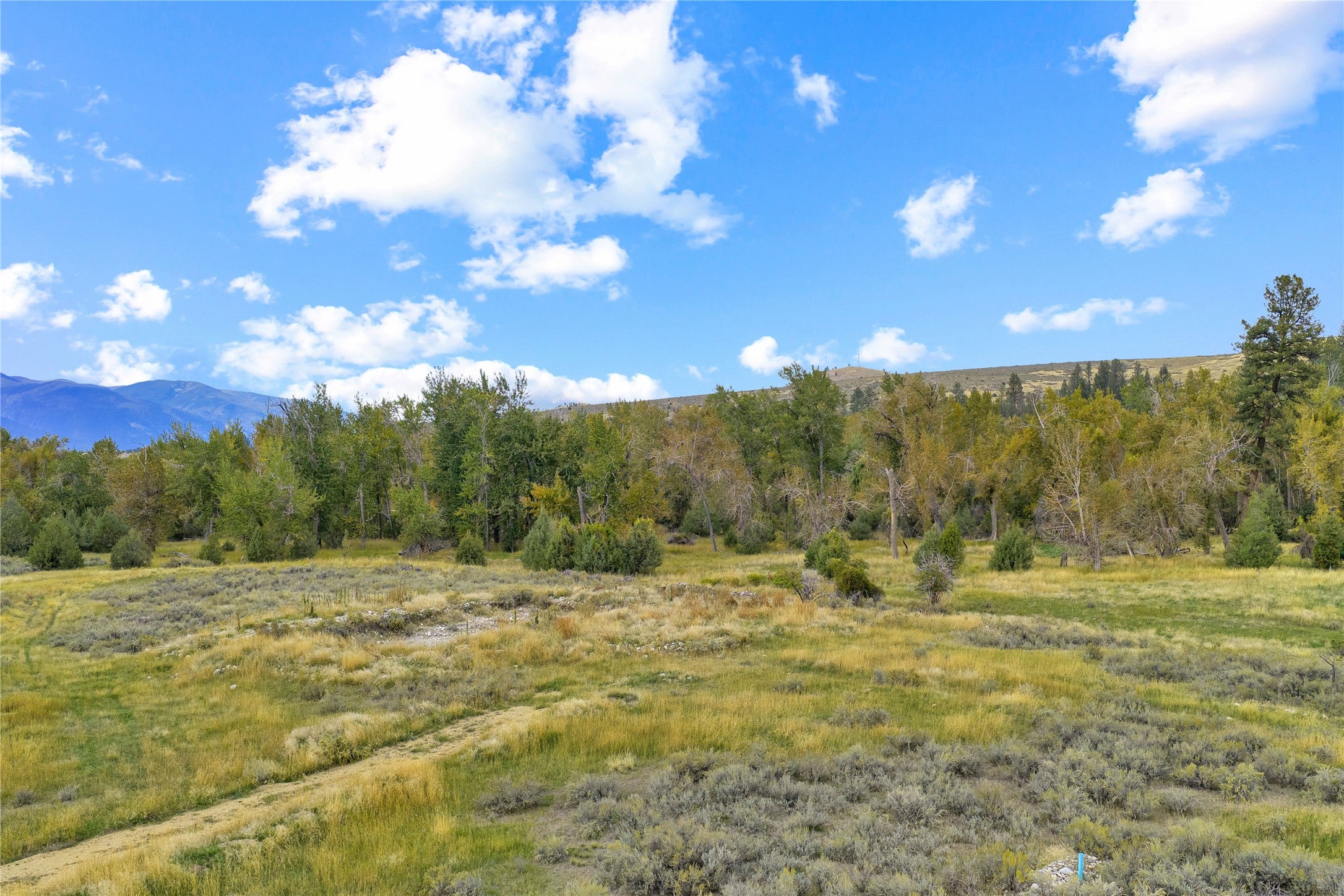 1404 Drovers Trail
