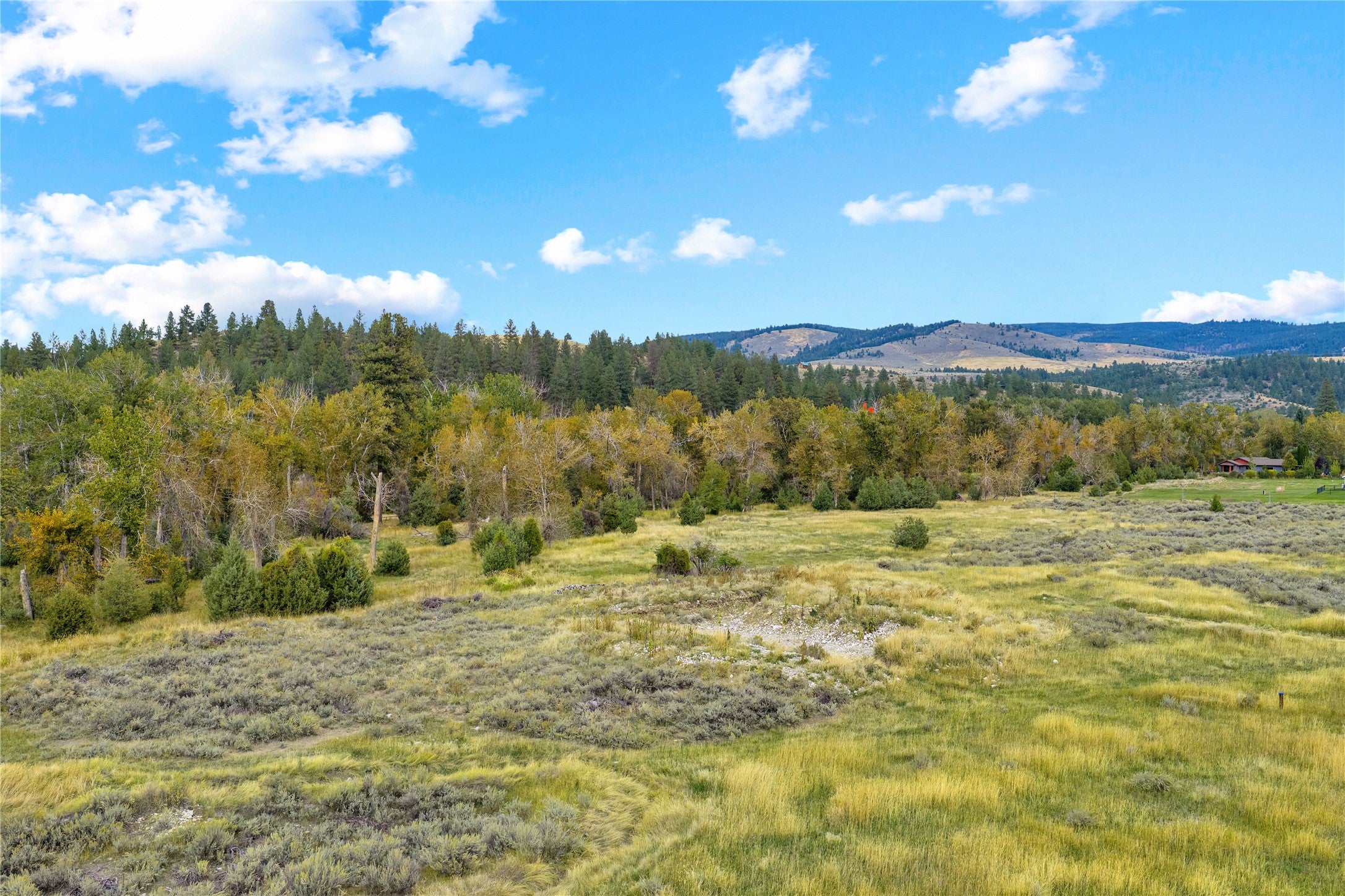 1404 Drovers Trail