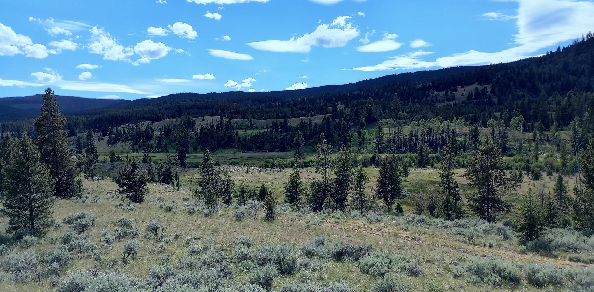 TBD Moose Lake Road