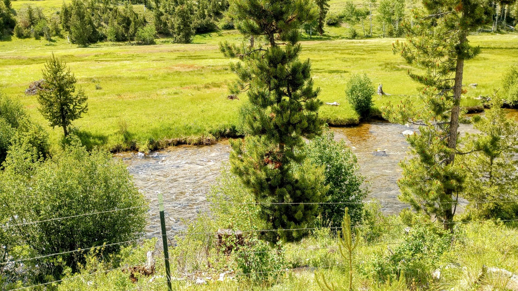 TBD Moose Lake Road