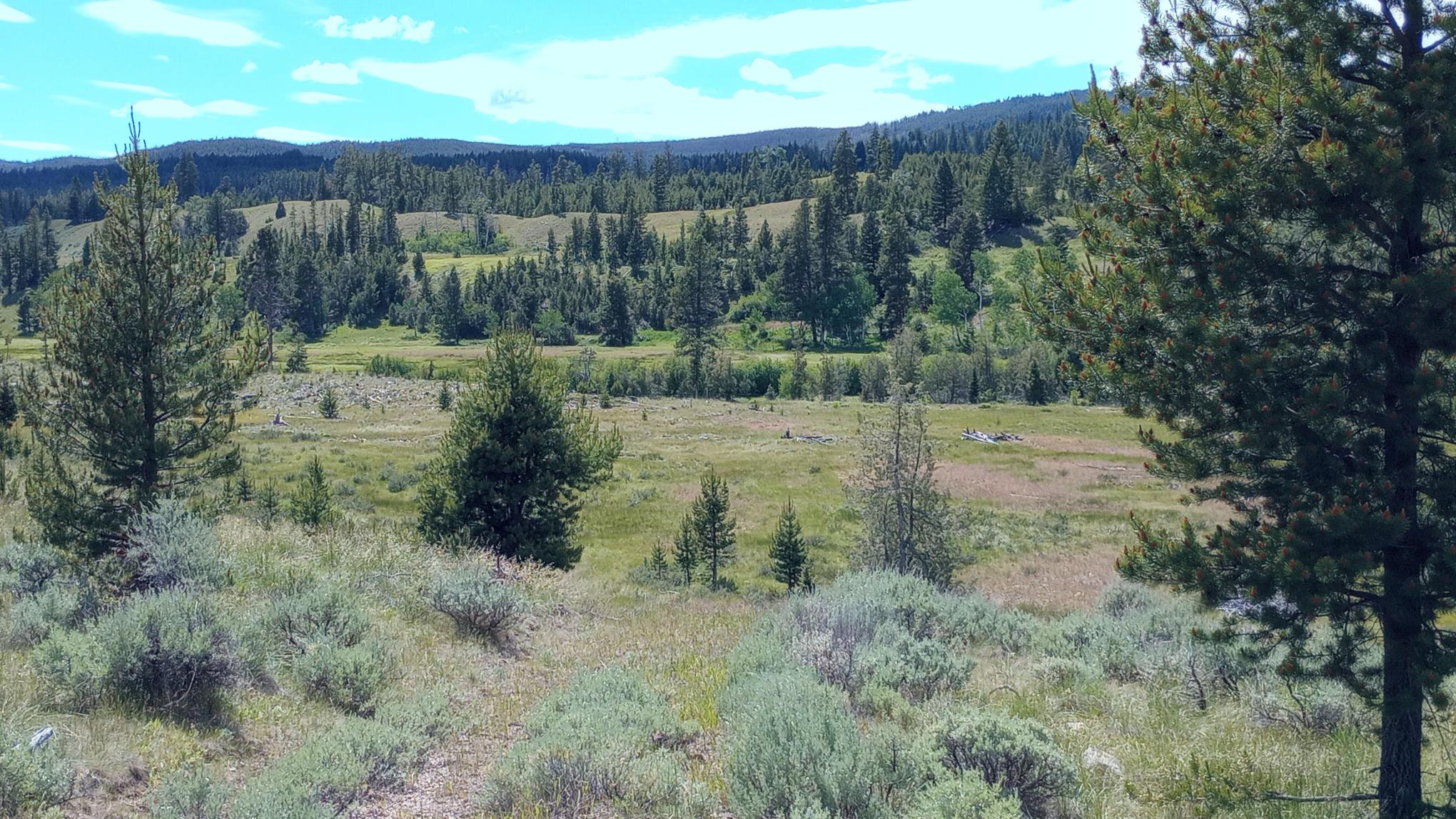 TBD Moose Lake Road