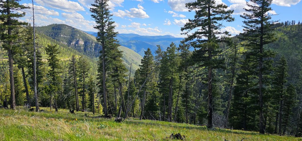 Photo of 4 Tract, Garnet Range, Drummond, MT 59825 (MLS # 30063751)