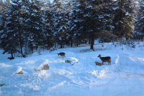 Tiny photo for 159 Glacier Vista Trail, Whitefish, MT 59937 (MLS # 30068311)