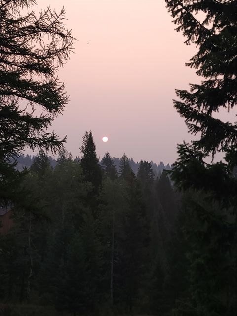 Tiny photo for 159 Glacier Vista Trail, Whitefish, MT 59937 (MLS # 30068311)