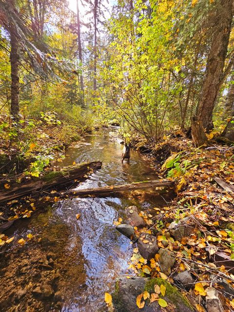 Tiny photo for 185 Tanglewood Lane, Whitefish, MT 59937 (MLS # 30069659)