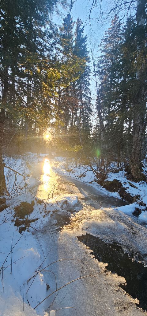 Tiny photo for 185 Tanglewood Lane, Whitefish, MT 59937 (MLS # 30069659)