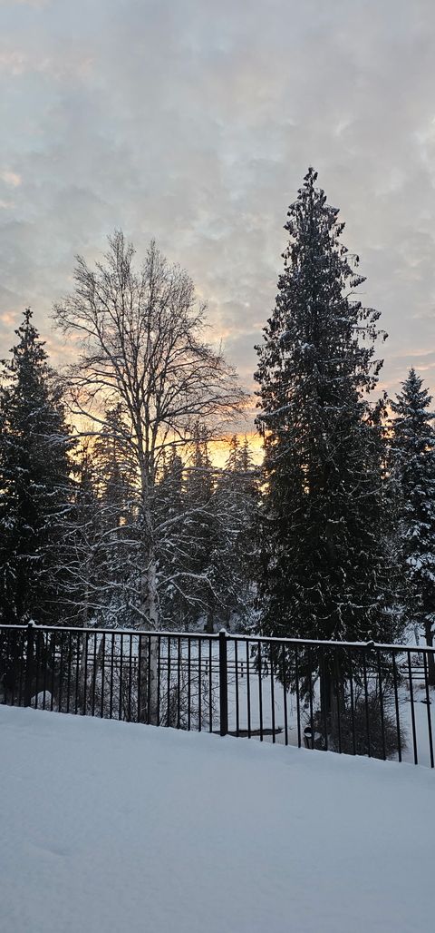 Tiny photo for 185 Tanglewood Lane, Whitefish, MT 59937 (MLS # 30069659)