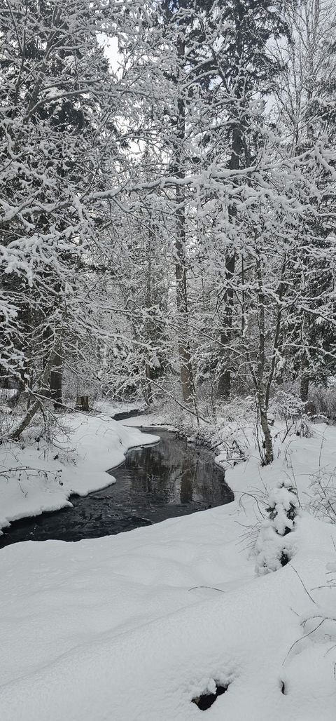Tiny photo for 185 Tanglewood Lane, Whitefish, MT 59937 (MLS # 30069659)