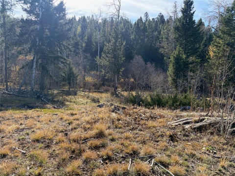 Photo of TBD Spring Creek Emery Road, Deer Lodge, MT 59722 (MLS # 30080350)