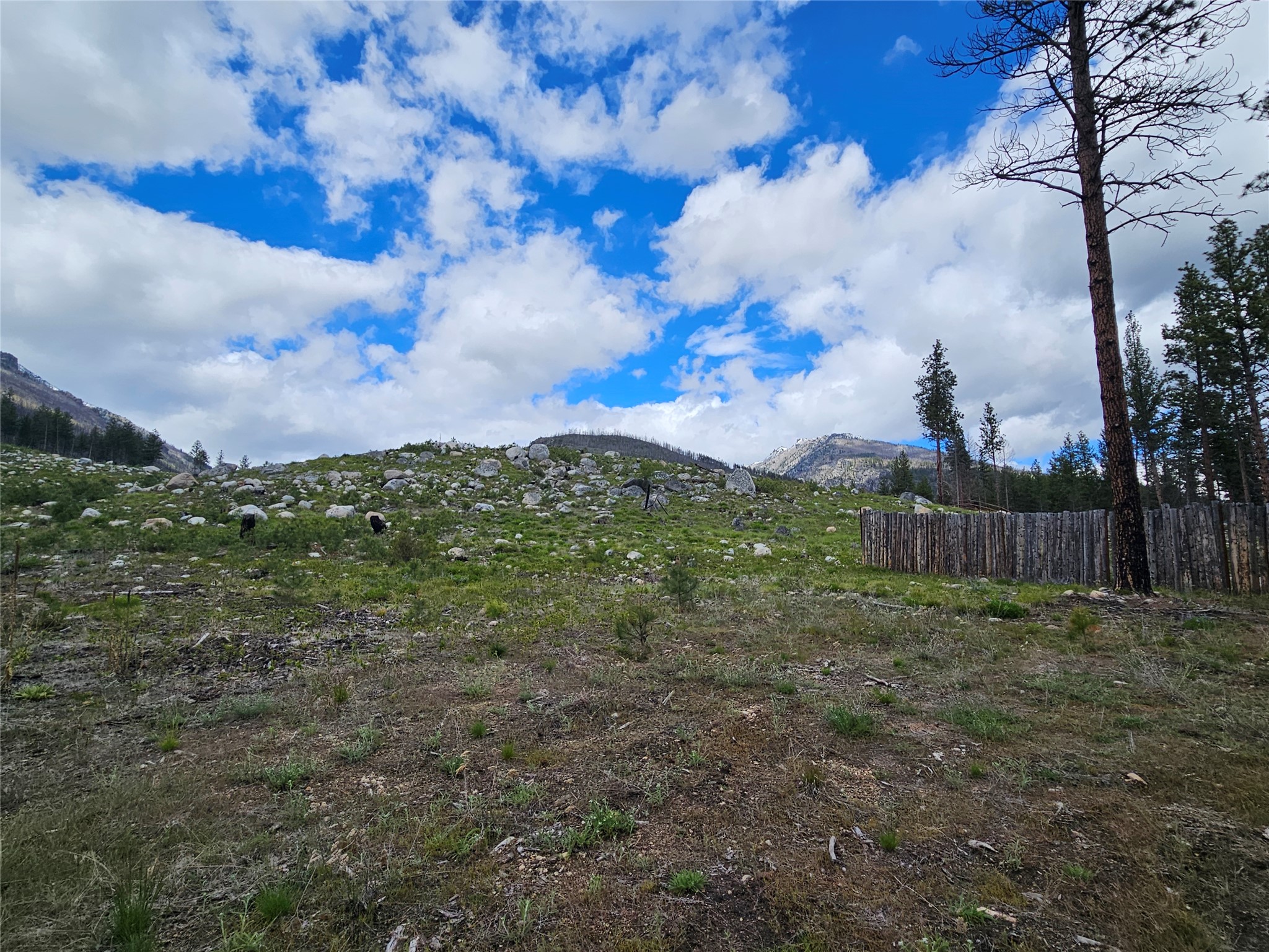 910 Judd Creek Hollow