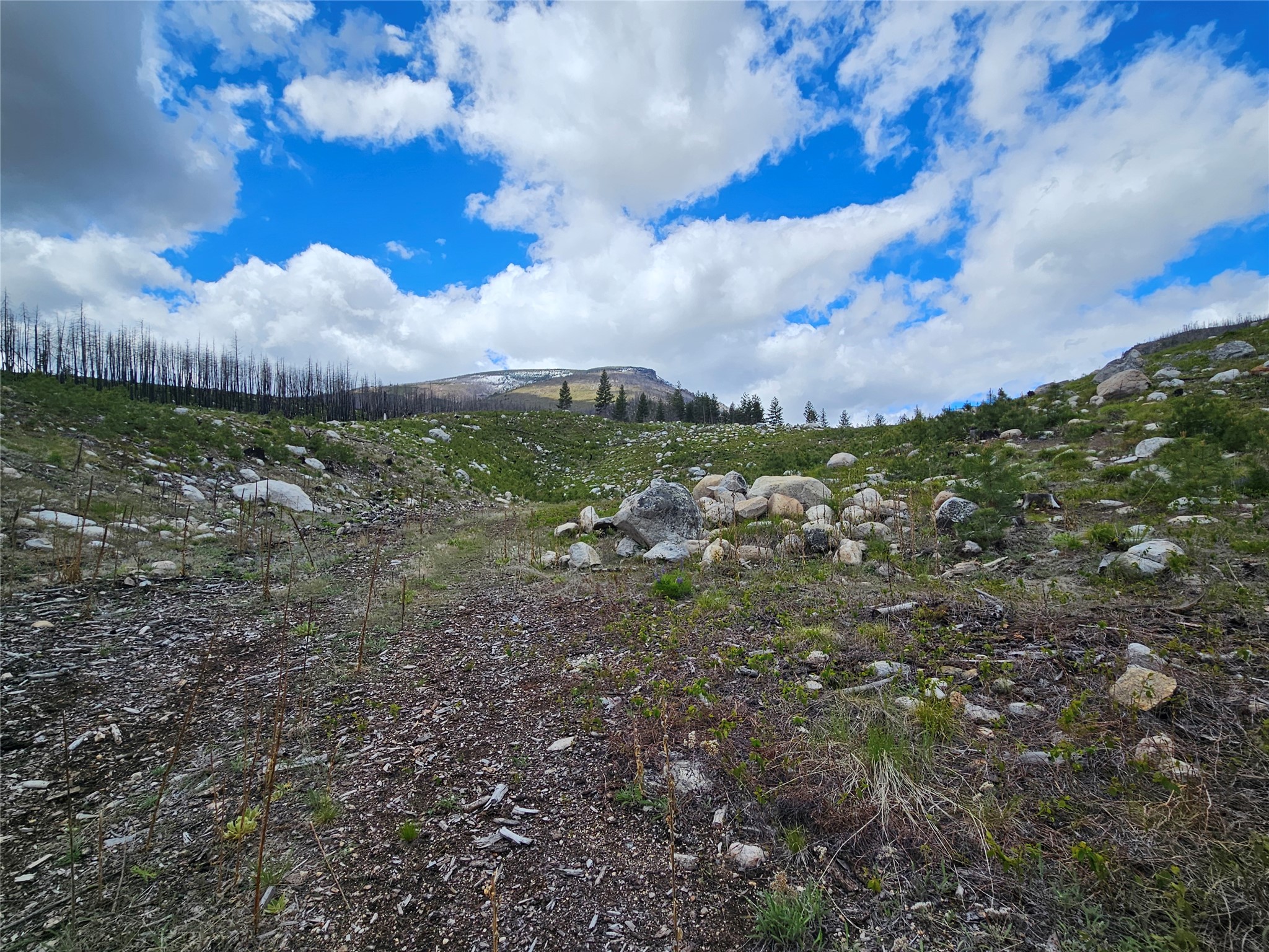 910 Judd Creek Hollow