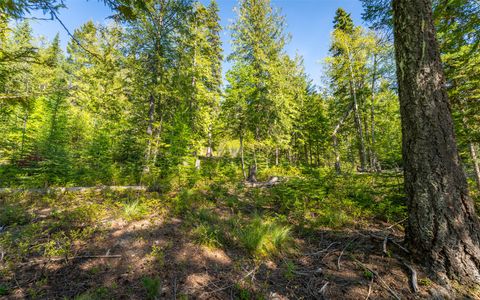 Tiny photo for 165 Woodland Star Circle, Whitefish, MT 59937 (MLS # 30038966)