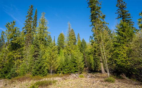 Tiny photo for 165 Woodland Star Circle, Whitefish, MT 59937 (MLS # 30038966)