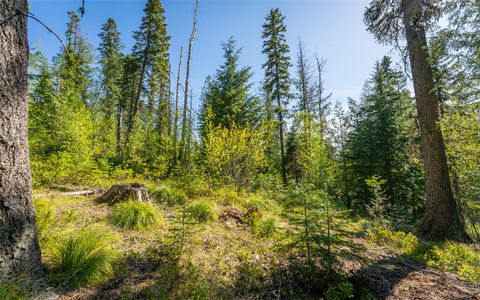 Tiny photo for 165 Woodland Star Circle, Whitefish, MT 59937 (MLS # 30038966)