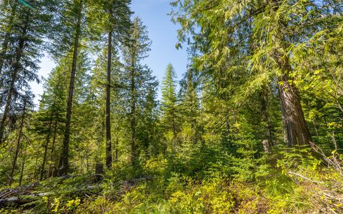 Tiny photo for 165 Woodland Star Circle, Whitefish, MT 59937 (MLS # 30038966)