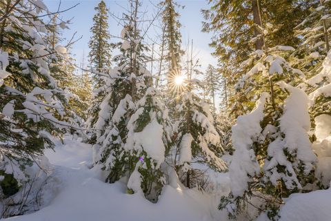 Tiny photo for 165 Woodland Star Circle, Whitefish, MT 59937 (MLS # 30038966)