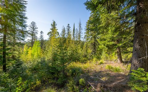 Tiny photo for 165 Woodland Star Circle, Whitefish, MT 59937 (MLS # 30038966)