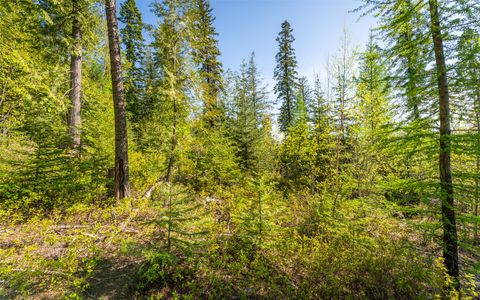 Tiny photo for 165 Woodland Star Circle, Whitefish, MT 59937 (MLS # 30038966)
