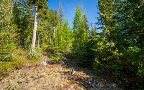 Tiny photo for 165 Woodland Star Circle, Whitefish, MT 59937 (MLS # 30038966)