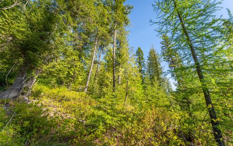 Tiny photo for 165 Woodland Star Circle, Whitefish, MT 59937 (MLS # 30038966)