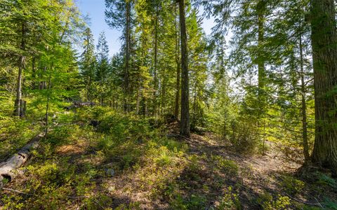 Tiny photo for 165 Woodland Star Circle, Whitefish, MT 59937 (MLS # 30038966)