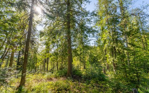 Tiny photo for 165 Woodland Star Circle, Whitefish, MT 59937 (MLS # 30038966)