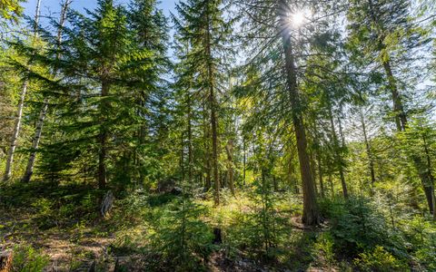 Tiny photo for 165 Woodland Star Circle, Whitefish, MT 59937 (MLS # 30038966)