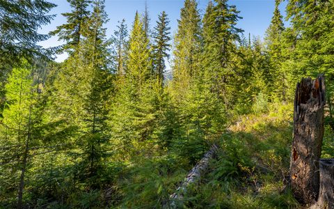 Tiny photo for 165 Woodland Star Circle, Whitefish, MT 59937 (MLS # 30038966)