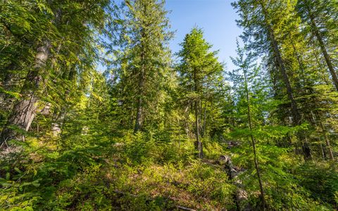 Tiny photo for 165 Woodland Star Circle, Whitefish, MT 59937 (MLS # 30038966)