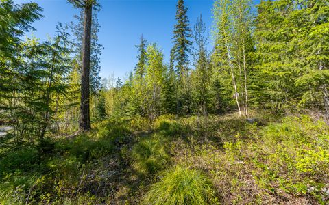 Tiny photo for 165 Woodland Star Circle, Whitefish, MT 59937 (MLS # 30038966)