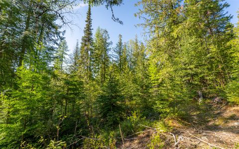 Tiny photo for 165 Woodland Star Circle, Whitefish, MT 59937 (MLS # 30038966)
