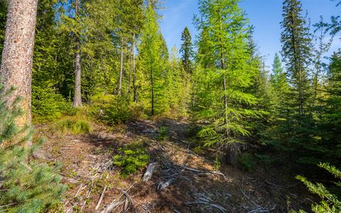 Tiny photo for 165 Woodland Star Circle, Whitefish, MT 59937 (MLS # 30038966)