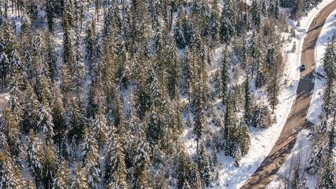 Tiny photo for 165 Woodland Star Circle, Whitefish, MT 59937 (MLS # 30038966)