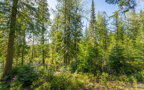 Tiny photo for 165 Woodland Star Circle, Whitefish, MT 59937 (MLS # 30038966)
