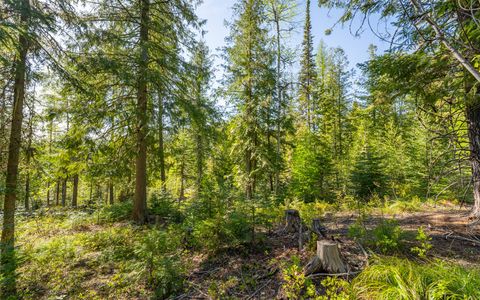 Tiny photo for 165 Woodland Star Circle, Whitefish, MT 59937 (MLS # 30038966)