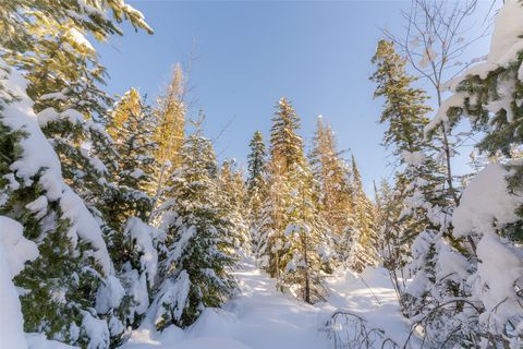 Tiny photo for 165 Woodland Star Circle, Whitefish, MT 59937 (MLS # 30038966)